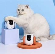 Image result for robot cats companions