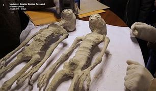 Image result for Mummy Found in Mexico