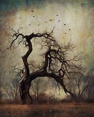 Image result for Rainbow Gothic Tree