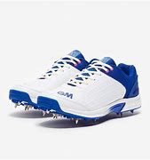 Image result for Cricket Spikes Junior