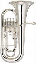 Image result for Euphonium Horn
