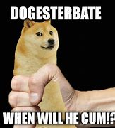 Image result for Every Doge Meme