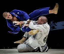 Image result for Brazilian Jiu Jitsu Free Background Pictures