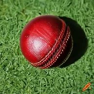 Image result for Cricket Pitch