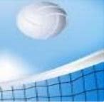 Image result for Volleyball