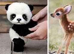 Image result for 10 Cute Animals