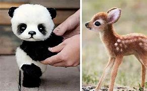 Image result for 10 Cutest Animals in the World