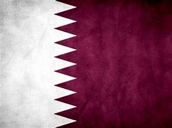 Image result for Qatar Flag