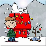 Image result for Charlie Brown Christmas Tree Meme