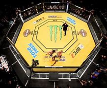 Image result for mma octagon size
