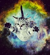 Image result for Cat Guy Galaxy