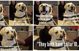 Image result for Dog Phone Meme