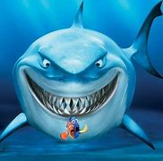 Image result for Animals From Finding Nemo