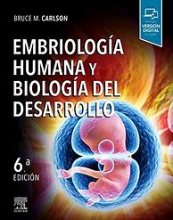 Image result for embriolog�a