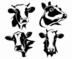 Image result for Dairy Cow Vector