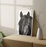 Image result for Black Horse Photography