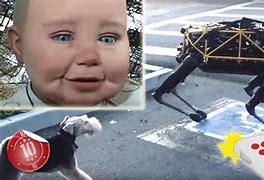 Image result for 10 Real Life Robots