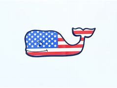 Image result for Vineyard Vines Flag