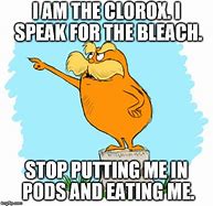 Image result for Cat with Clorox Meme
