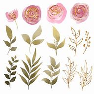 Image result for Transparent Rose Gold Flowers Watercolor