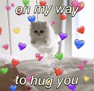 Image result for Wholesome Animal Memes