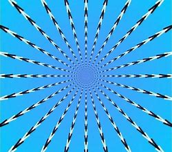 Image result for Animated Optical Illusions