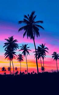 Image result for Neon Palm Wallpaper