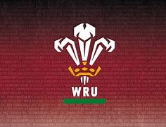 Image result for Welsh Rugby Union Logo