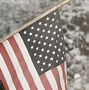 Image result for American Flag iPhone 11 Case with Bald Eagol