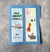 Image result for Mammals Lapbook