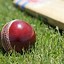 Image result for Cricket Kit Pics