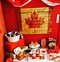 Image result for Canada Day Party