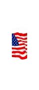 Image result for Sparkly American Flag