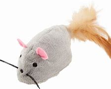 Image result for Cat Toys On White Background