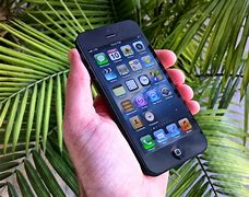 Image result for iPhone 5 Neon