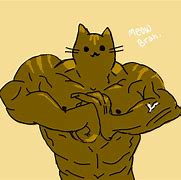Image result for Buff Ginger Cat Meme
