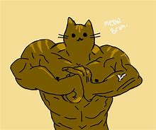 Image result for Buff Cat Meme Drawing