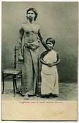 Image result for Sinhalese Human Subgenre