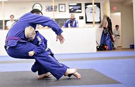 Image result for Deadly Martial Arts