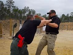 Image result for Hand Combat Weapons