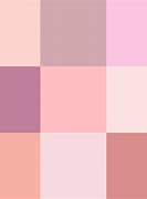 Image result for Warm Pink Color