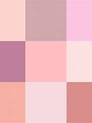 Image result for Coral Y Pinkish iPhone Wallpaper