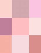 Image result for Plain Pastel Pink Background Portrait