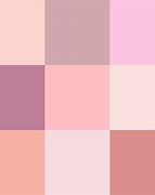 Image result for iPhone Rose Color