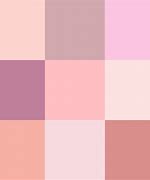 Image result for Bright Pink Color