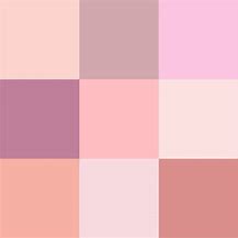 Image result for Light Rose Color