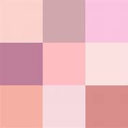 Image result for iPhone Pink Color Variant