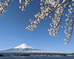 Image result for Hakone Yunessun