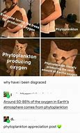Image result for Phytoplankton Telescope Meme
