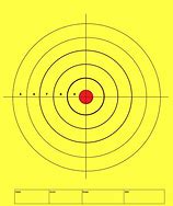 Image result for Shooting Targets 7